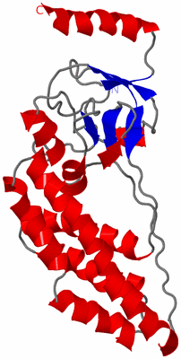 Image NMR Structure - model 1