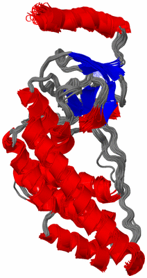 Image NMR Structure - all models