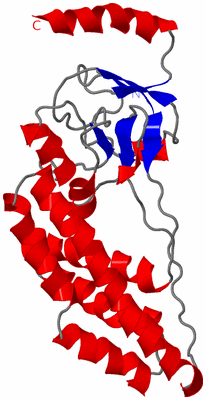 Image NMR Structure - model 1