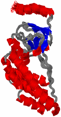 Image NMR Structure - all models