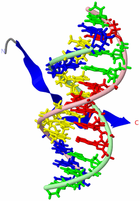 Image NMR Structure - model 1