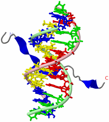 Image NMR Structure - model 1