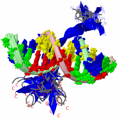 Image NMR Structure - all models