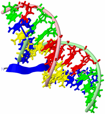 Image NMR Structure - model 1