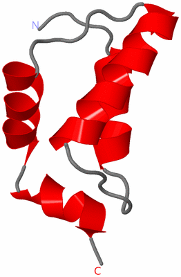 Image NMR Structure - model 1