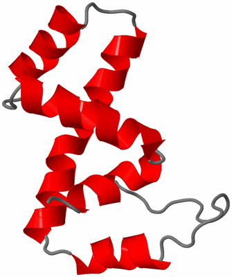 Image NMR Structure - model 1