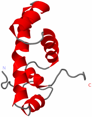 Image NMR Structure - model 1