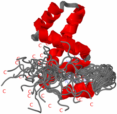 Image NMR Structure - all models