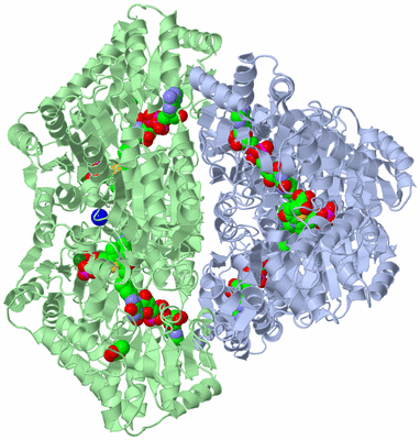 Image Biological Unit 1