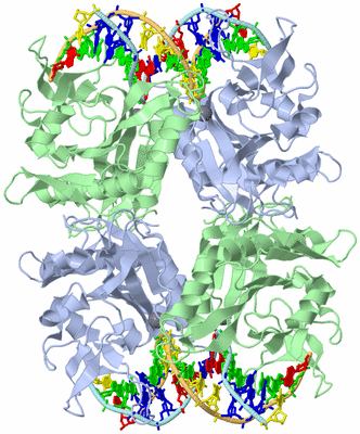 Image Biological Unit 1