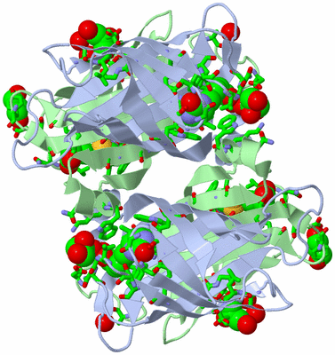 Image Biol. Unit 1 - sites