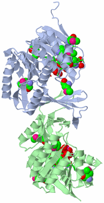 Image Asym./Biol. Unit - sites