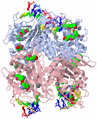 Image Biological Unit 1