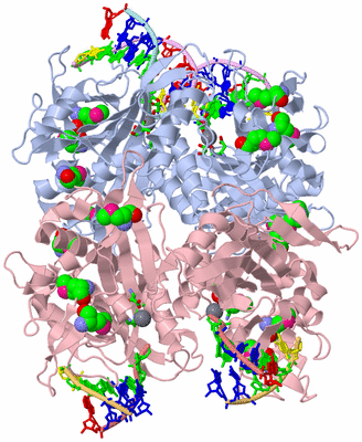 Image Biol. Unit 1 - sites