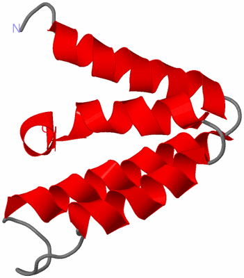 Image NMR Structure - model 1