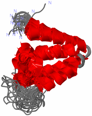 Image NMR Structure - all models