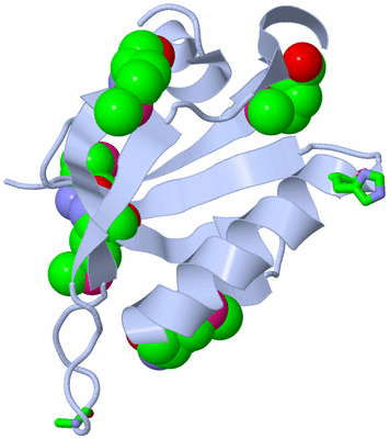 Image Biol. Unit 1 - sites