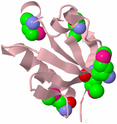 Image Biological Unit 3