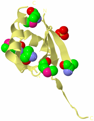 Image Biological Unit 4