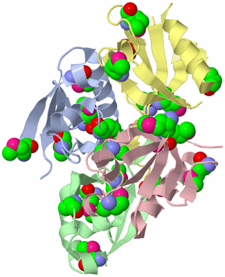 Image Biological Unit 5