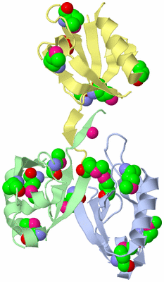 Image Biological Unit 6