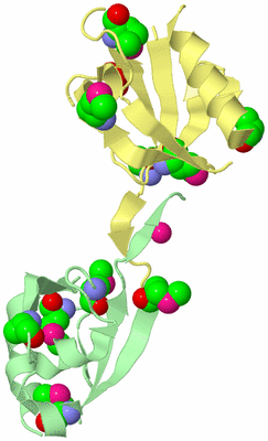 Image Biological Unit 7