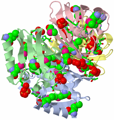 Image Biol. Unit 1 - sites