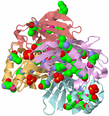 Image Biological Unit 2