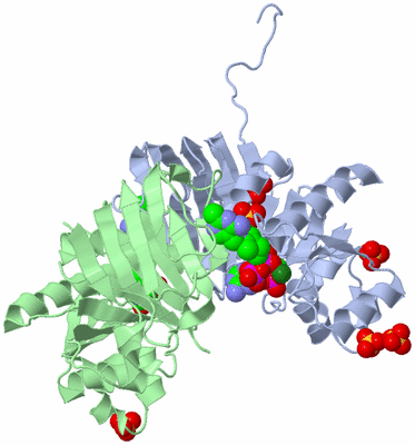 Image Biological Unit 1