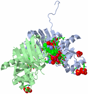 Image Biol. Unit 1 - sites