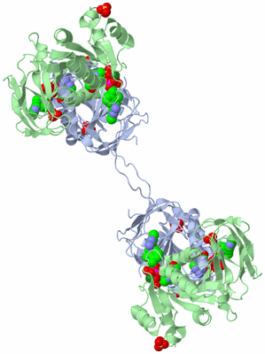 Image Biological Unit 2