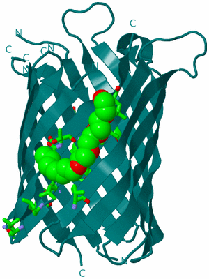 Image Biol. Unit 1 - sites