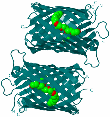 Image Biological Unit 2