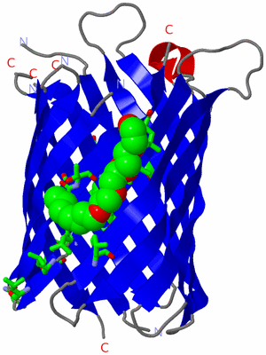 Image Asym. Unit - sites