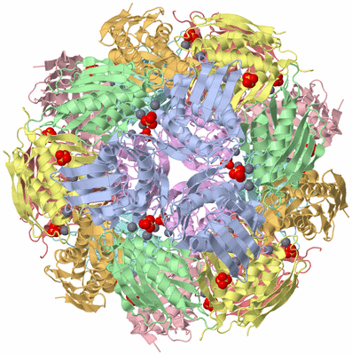 Image Biological Unit 1