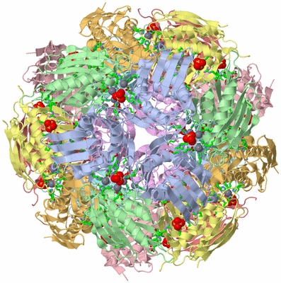 Image Biol. Unit 1 - sites