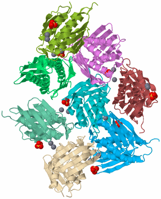 Image Biological Unit 2