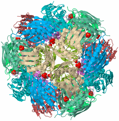 Image Biological Unit 3