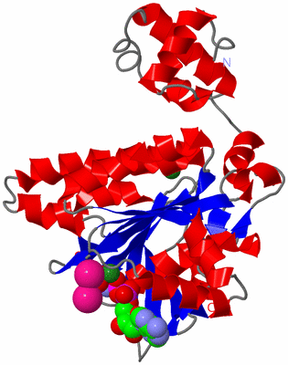 Image Asym./Biol. Unit