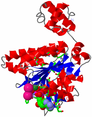 Image Asym./Biol. Unit - sites