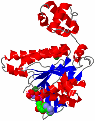 Image Asym./Biol. Unit