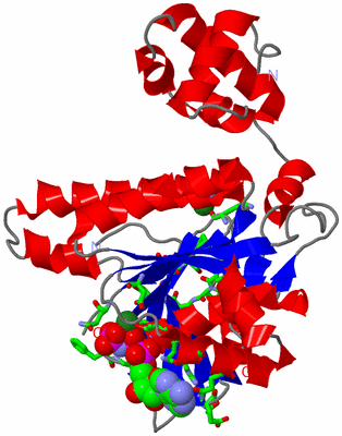 Image Asym./Biol. Unit - sites