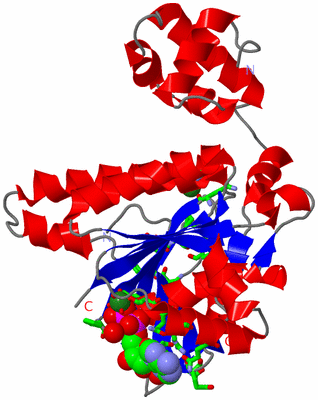 Image Asym./Biol. Unit - sites