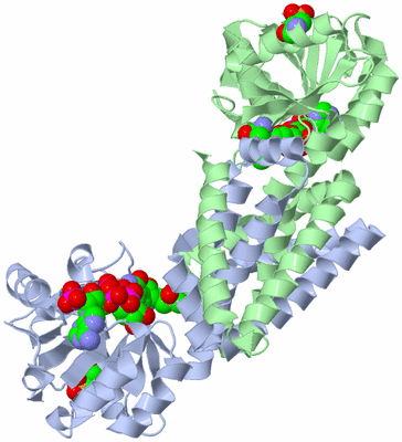 Image Biological Unit 1