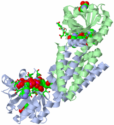 Image Biol. Unit 1 - sites