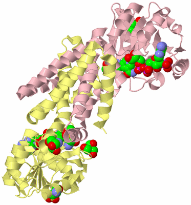 Image Biological Unit 2