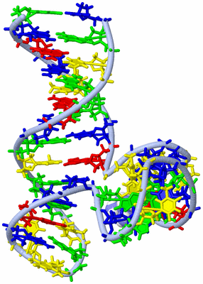 Image NMR Structure - model 1