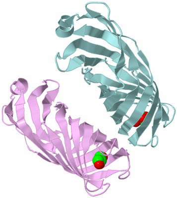 Image Biological Unit 12