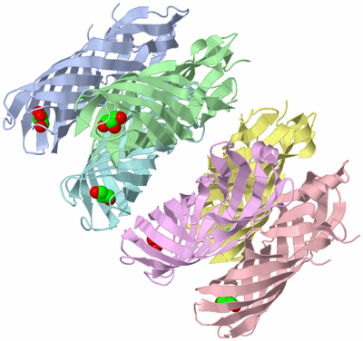 Image Biological Unit 7