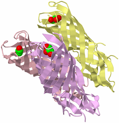 Image Biological Unit 8